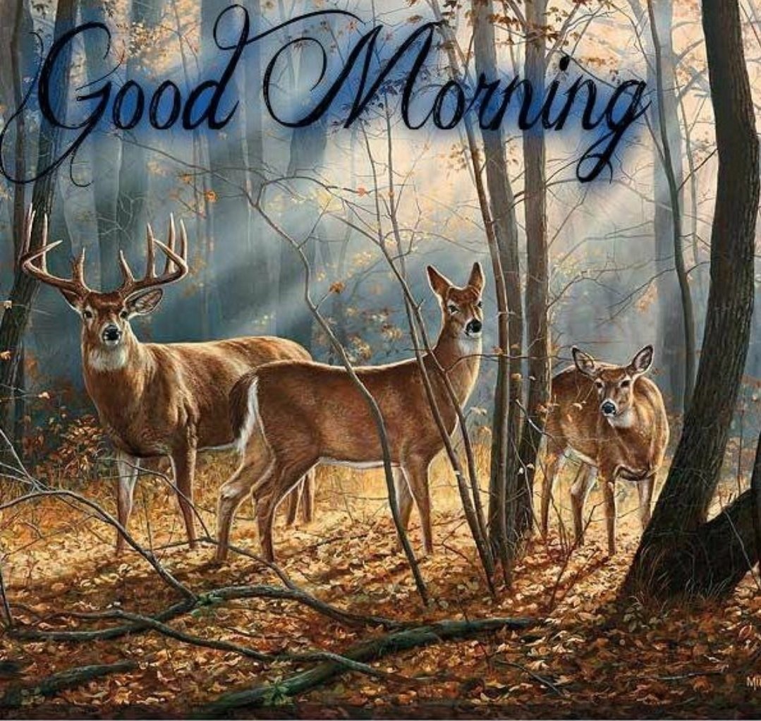 CrickCritter's tweet photo. https://t.co/yZlPQd9NUf https://t.co/F8HeRnlZAP