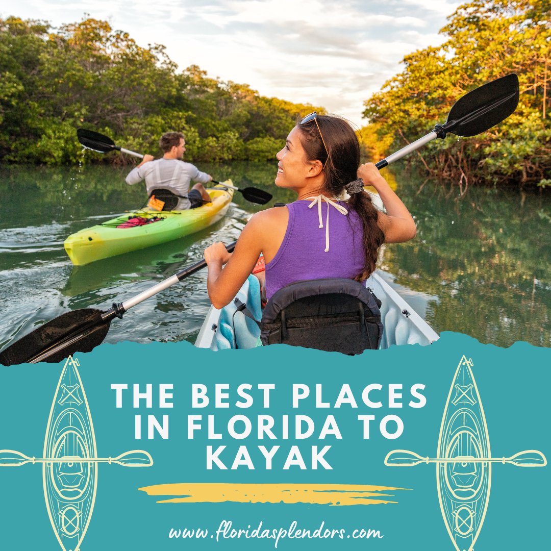 Ready to explore Florida's natural beauty from a unique angle? Grab your kayak and get ready for the adventure of a lifetime!

Intrigued? Here’s where you can learn more  

#beach #beachflorida #florida #floridasplendors #visitfl #lovefl tinyurl.com/2zg3q9dl[...]