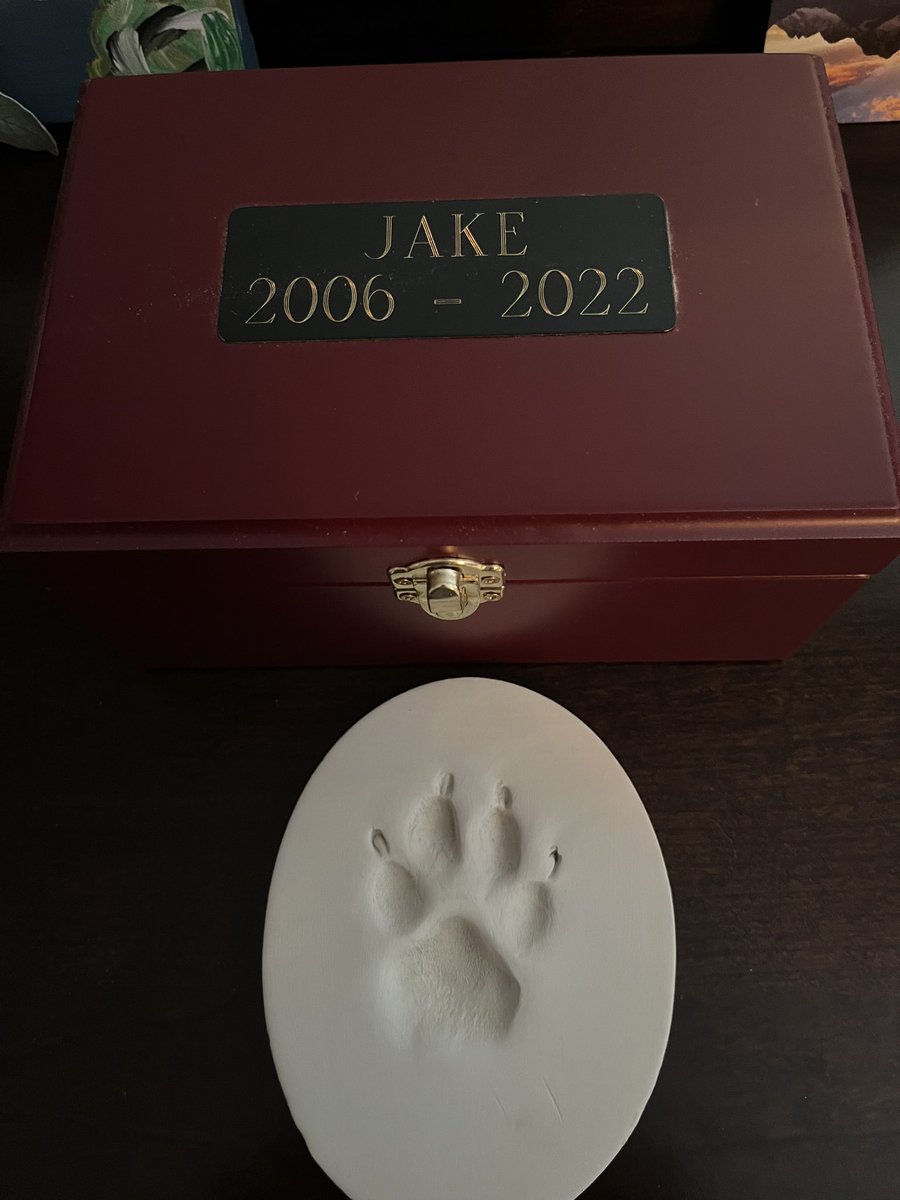 barbbreznay's tweet photo. @PeteMarek @WestParkAnimalH Pete - I had to do a double take. I’m so sorry for your loss! https://t.co/1DGBlqrlTa
