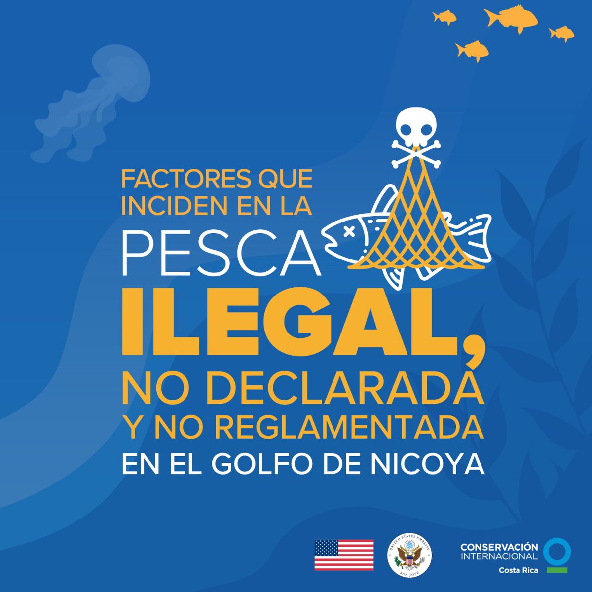 Conservación Internacional Costa Rica tweet media