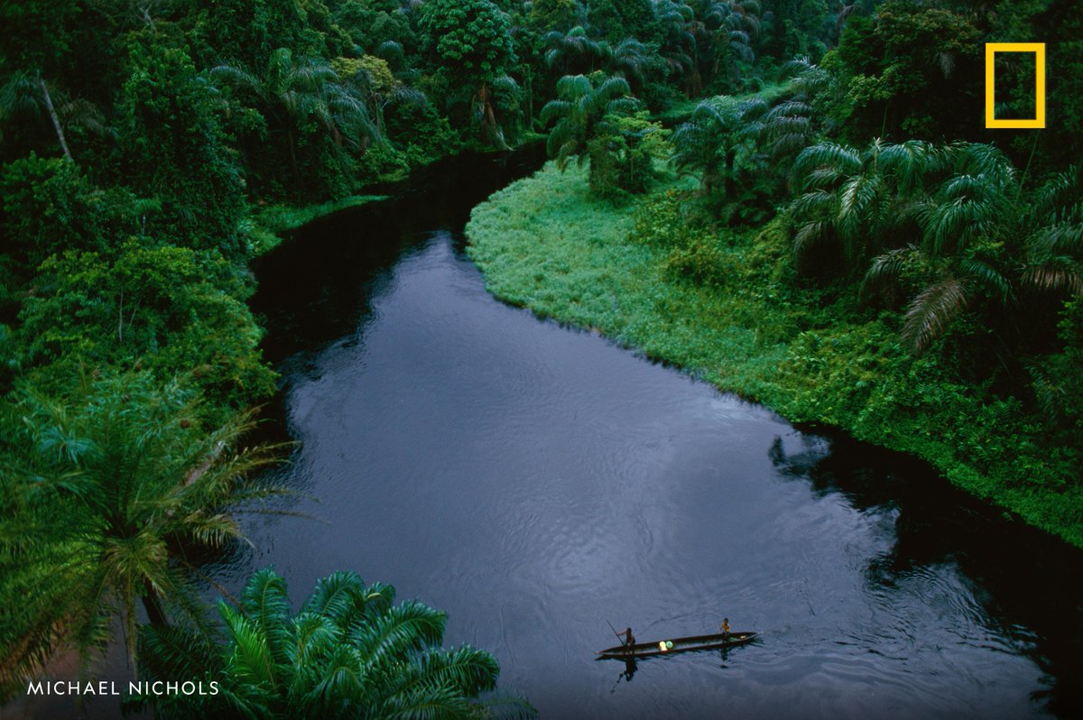 Elevated view of a canoe crossing a river in a dense rain forest in Republic of the Congo