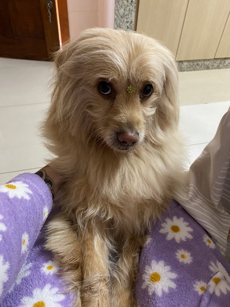 stephanie tweet media