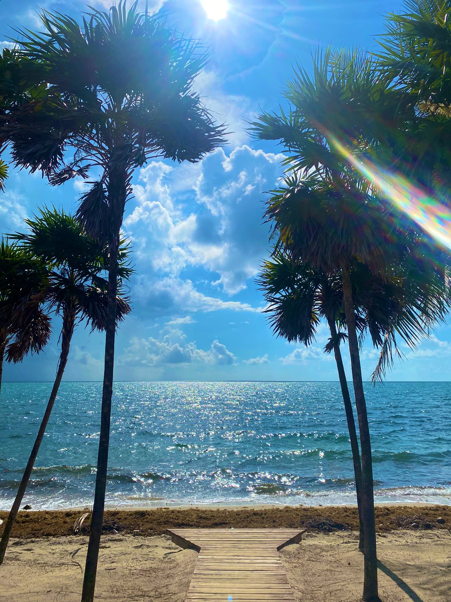 Your boy is livin’ iLLustrious hiding in #Belize 🇧🇿 #Placencia