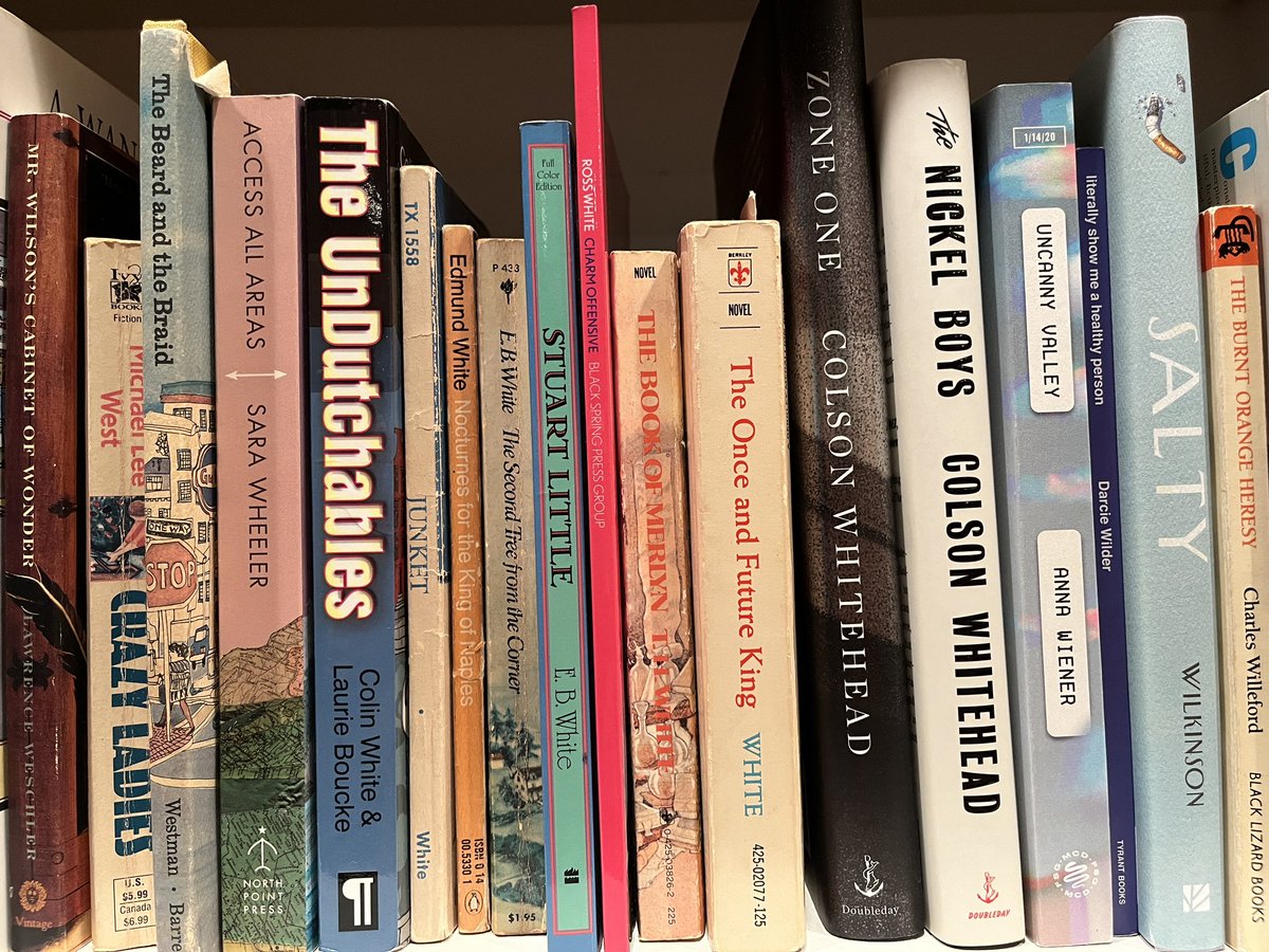 Happy pub month to @rosswhite whose new book CHARM OFFENSIVE looks great on the shelf with fellow Whites (EB, TH, Edmund) plus @colsonwhitehead @annawiener @alissamarie and more!