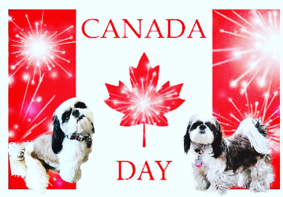 Margot Sinclair Savell tweet media