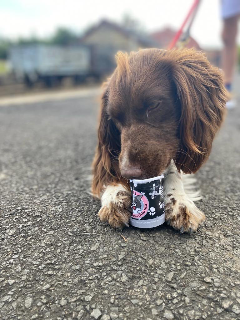 Happiness 😀 is a Beamish Ciccarelli’s dog 🐶 ice cream 🍦new as of today at the north’s favourite open air museum! 🐶 ⁦@Beamish_Museum⁩ ⁦@ThisisDurham⁩ ⁦@ACEnterprises⁩ ⁦@VCDBusiness⁩