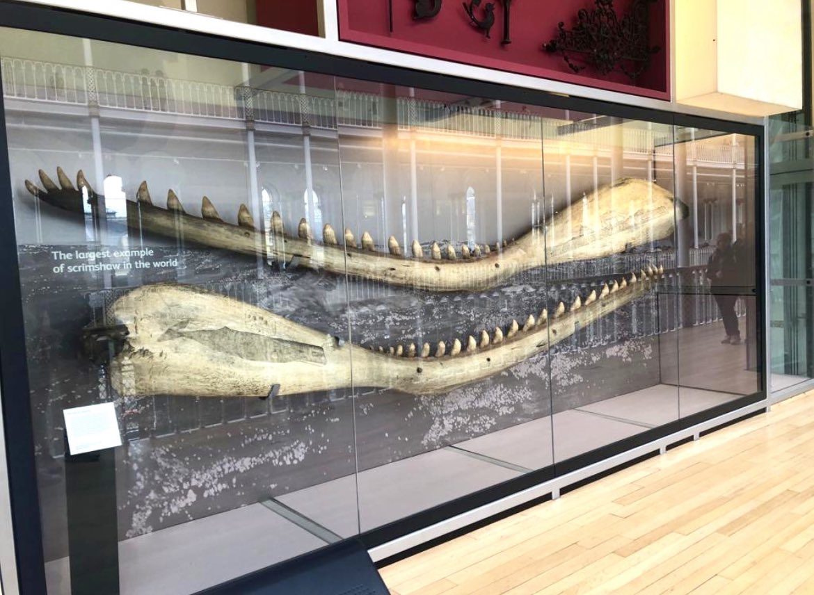 A trip to the capital 🏴󠁧󠁢󠁳󠁣󠁴󠁿 <a href="/MichaelCLord/">Michael Lord</a>