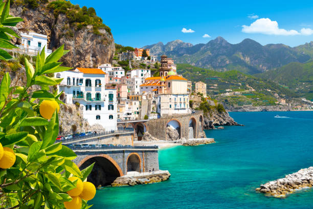 AndreaMilano's tweet photo. Parte de la novela que estoy escribiendo transcurre en este magnífico escenario... Sorrento, tierra del limoncello y playas paradisíacas...
Estaría necesitando trabajo de campo ASAP 🤓🙃
🎶Ma nun me lassà,
Nun darme stu turmiento!
Torna a Surriento,
famme campà!🎶
#LDDLS https://t.co/6XS1pMxYm3