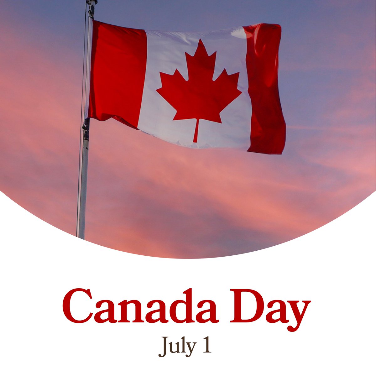 District School Board of Niagara tweet media