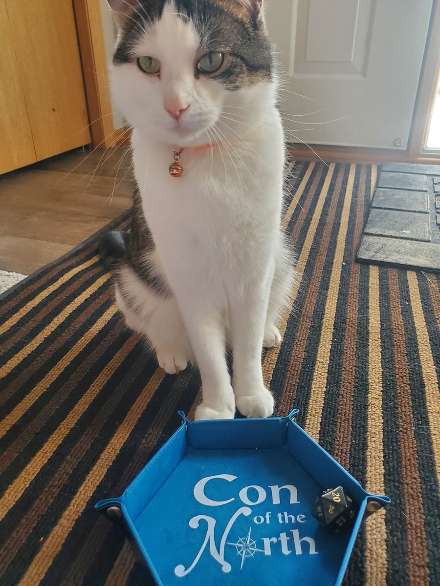 Connie McNorth tweet media