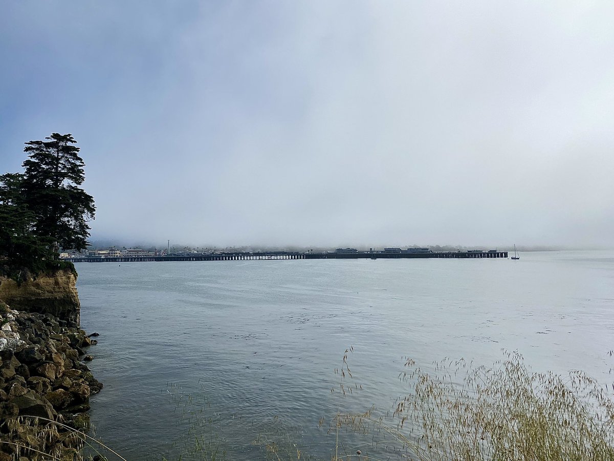 Native Santa Cruz (@nativesantacruz) on Twitter photo Santa Cruz is celebrating the big heat wave that’s impacted most of the Bay Area and California by hiding under the fog 😂 Santa Cruz is celebrating the big heat wave that’s impacted most of the Bay Area and California by hiding under the fog 😂