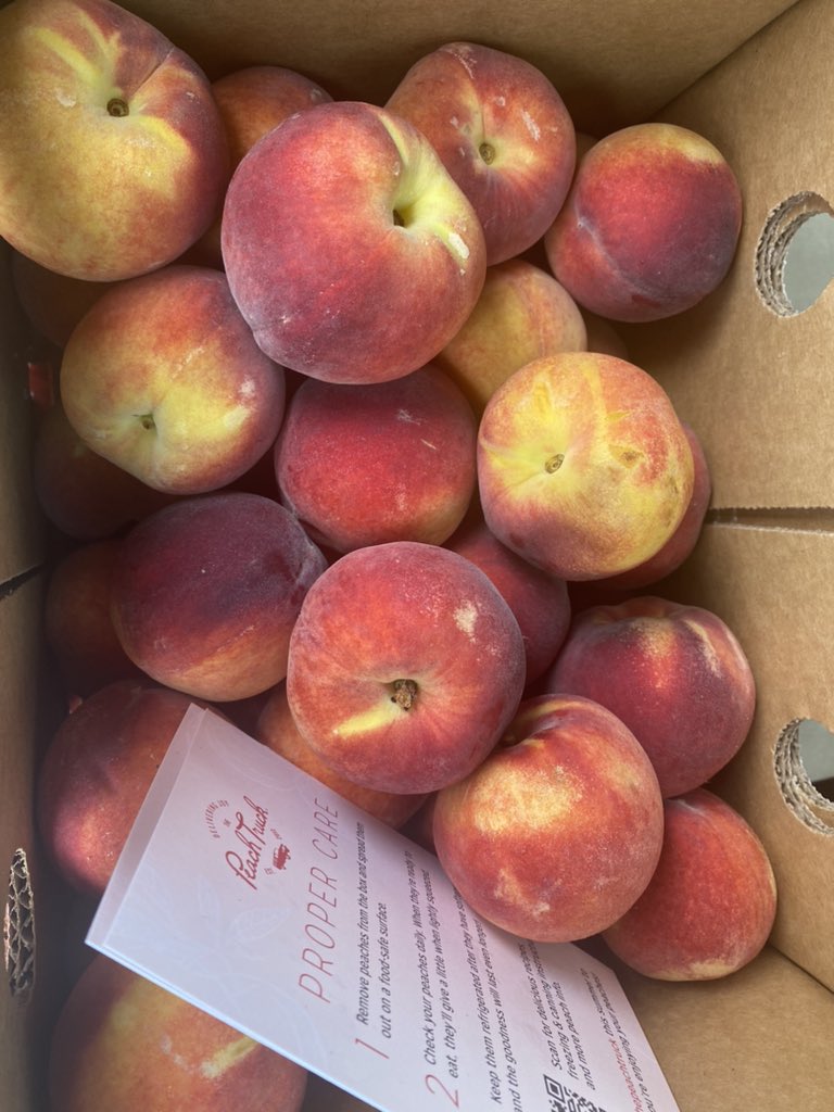 Made it to the <a href="/ThePeachTruck/">The Peach Truck</a>