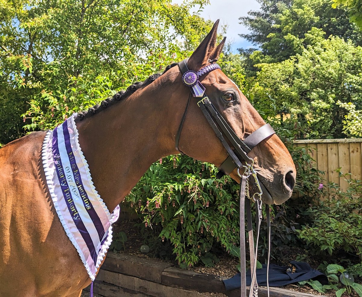 JessWestwood's tweet image. Lovely to take Monkerty Tunkerty to my head girls wedding today. At the age of 20 he is still the yard favourite &amp;amp; lovely to have my staff want him there on the biggest day of their lives. #RacingStaffWeek #WeddingDay @RacingPost @itvracing