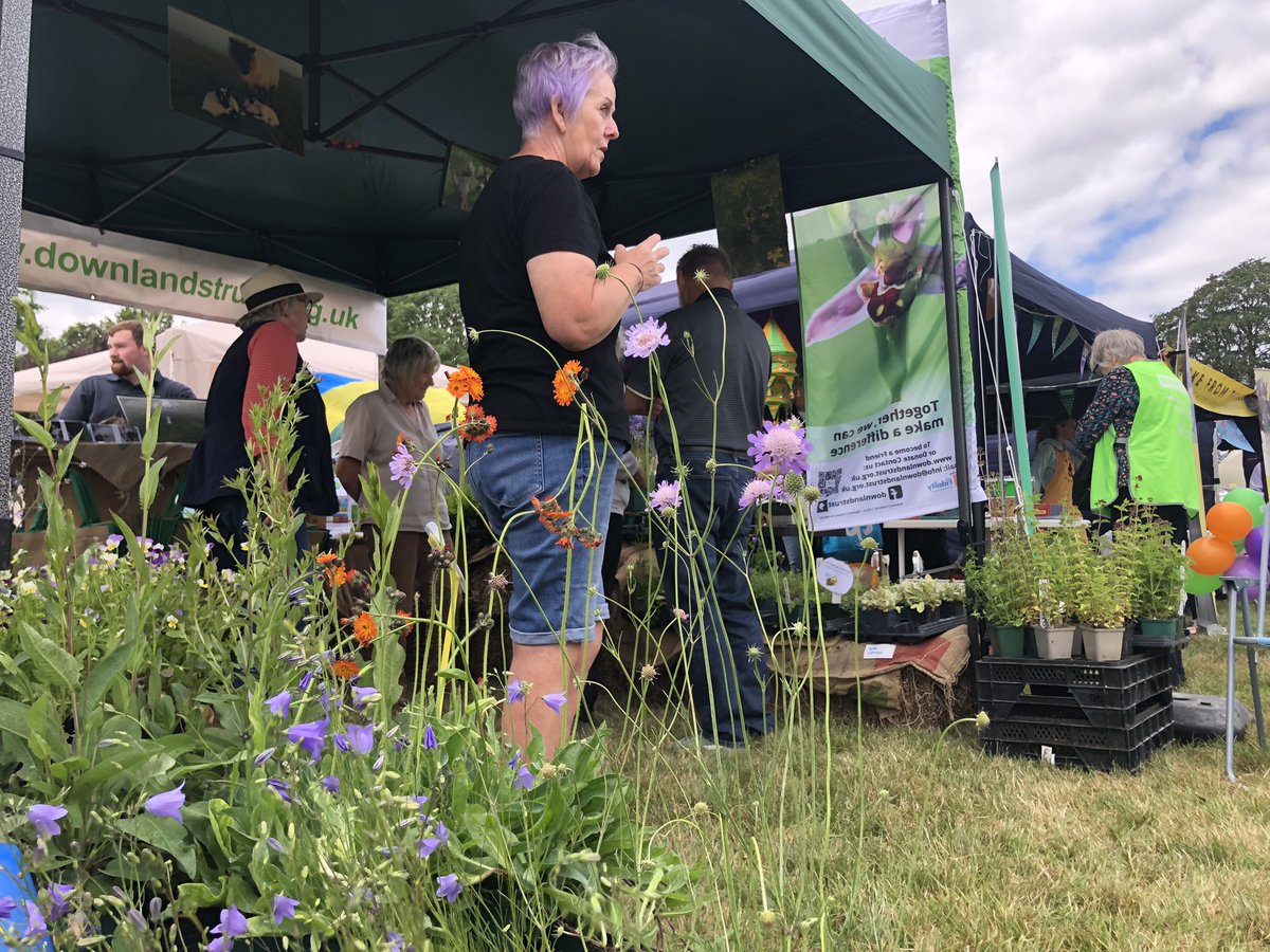 Downygrazers's tweet image. A fantastic day at the Old Coulsdon Village Fair. Talking to the public about the important conservation work of the Downlands Trust and Downlands Partnership. Plus selling wildflowers, some complete with insects 😂🥰