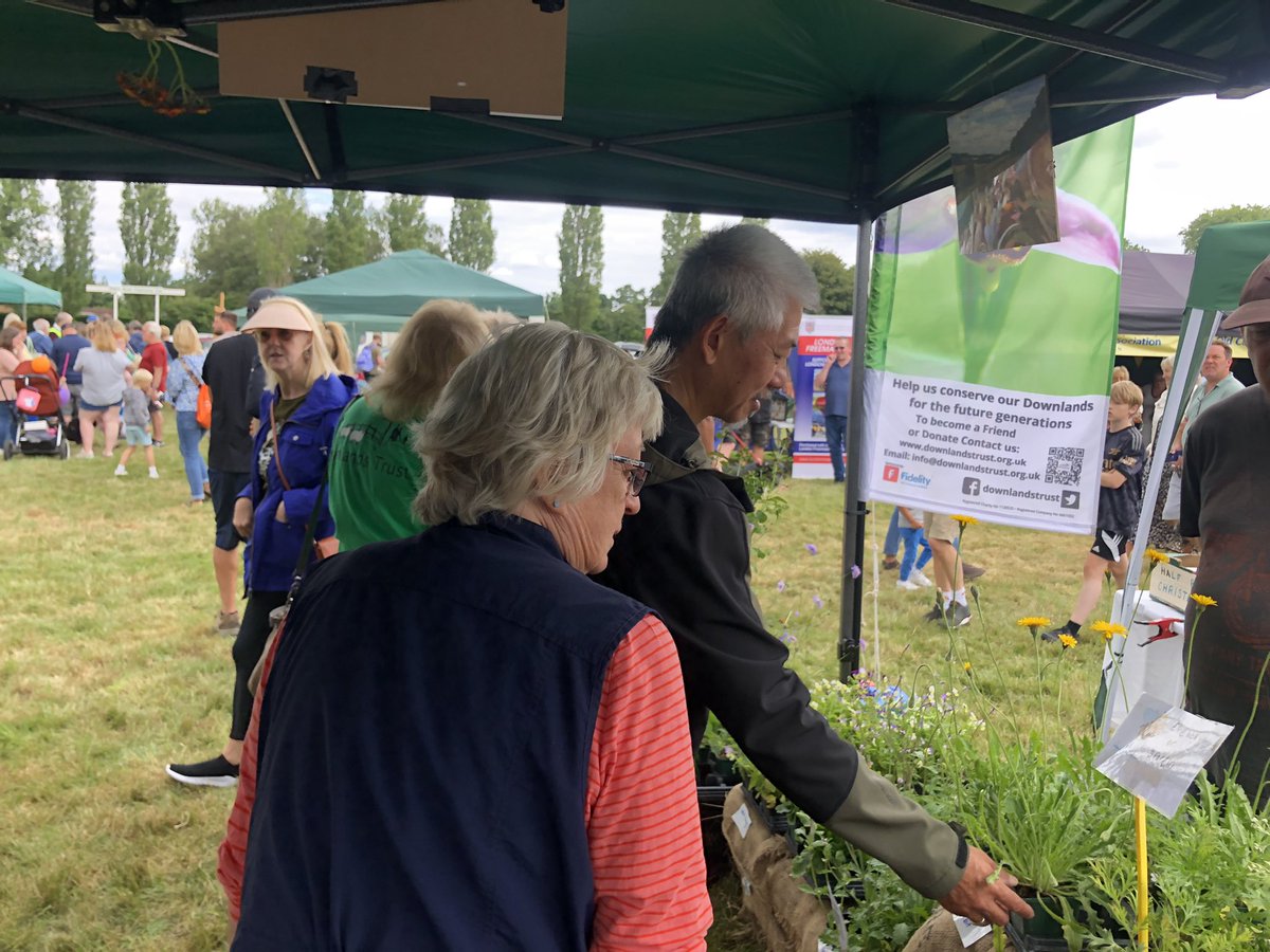 Downygrazers's tweet image. A fantastic day at the Old Coulsdon Village Fair. Talking to the public about the important conservation work of the Downlands Trust and Downlands Partnership. Plus selling wildflowers, some complete with insects 😂🥰