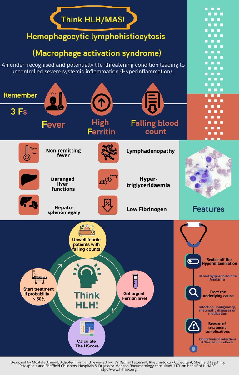 Dr Mostafa Meshaal Ahmad (@drmmeshaal) on Twitter photo Hemophagocytic lymphohistiocytosis (HLH) in a nutshell!
*Think HLH and save lives!
I am so grateful to <a href="/R_tattersall/">Rachel Tattersall</a> and <a href="/JessicaJManson/">Jessica Manson</a> on behalf of HiHASC hihasc.org for inspiring me to design this infographic and for their guidance.
#HLHspotlight
<a href="/RheumatologyUK/">BSR</a> Hemophagocytic lymphohistiocytosis (HLH) in a nutshell!
*Think HLH and save lives!
I am so grateful to <a href="/R_tattersall/">Rachel Tattersall</a> and <a href="/JessicaJManson/">Jessica Manson</a> on behalf of HiHASC hihasc.org for inspiring me to design this infographic and for their guidance.
#HLHspotlight
<a href="/RheumatologyUK/">BSR</a>