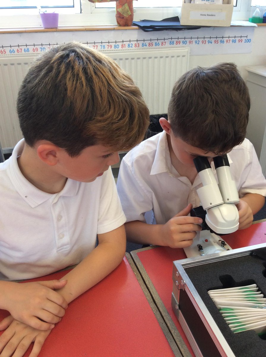 Year 3 had a great afternoon using our microscopes. The children went and chose their own things from the field to look at in detail!