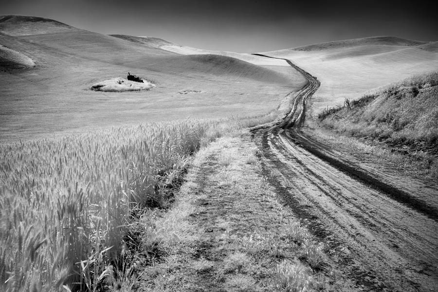 ImagesByJonEvan's tweet photo. Art for your empty Walls! https://t.co/EWH81sZS55 #naturelovers #landscpapephotography #wallart #framedpicture #framedphotograph #canvas https://t.co/EwBrt6dNCM