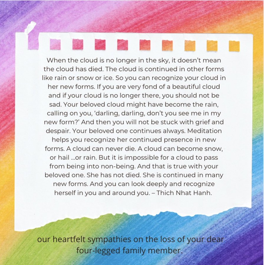 #pawcircle 
 
#LoveAndRemembrance