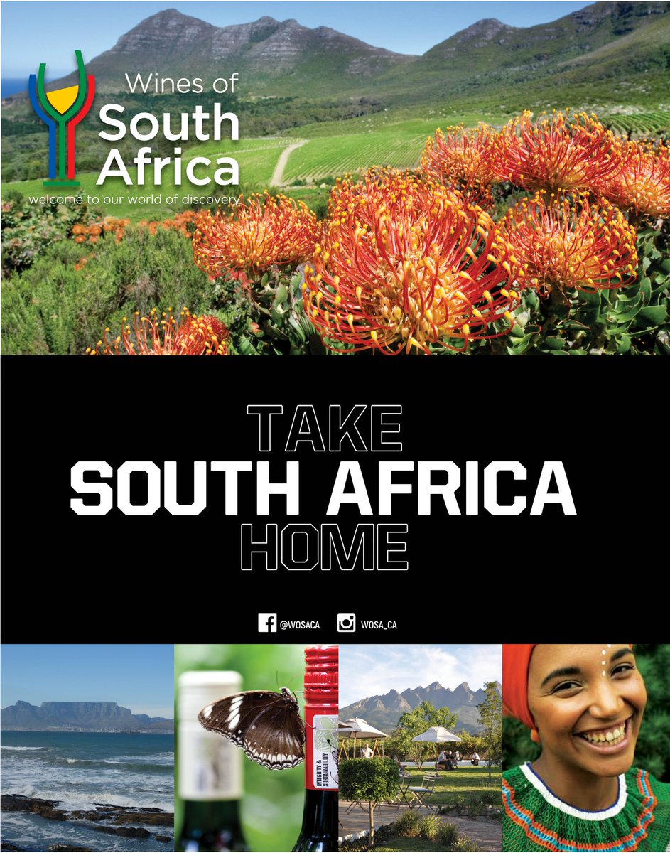 Love South African wines? Try some new ones July 8, 9, 22, 23 #winetastings #july @ewinebc tinyurl.com/bddupnrx #TakeSouthAfricaHome