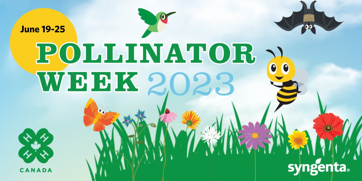 4HCanada's tweet image. Happy #PollinatorWeek2023! Follow along all week as we highlight the important role that pollinators play in creating a healthy ecosystem &amp;amp; sustainable food supply! Check out our #ProudtoBee4Her activity book to learn more: bit.ly/2EoyREa 

@syngentacanada