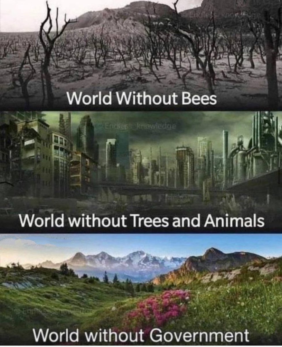 And you still believe all the shit they tell you #NWO #GreatReset #Agenda2030 #WEF2030Agenda 
#DepopulationAgenda #ClimateScam