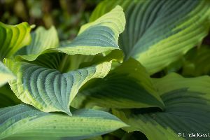 Wow, where did that season go? and then... - mailchi.mp/22a6b0e6377f/w…