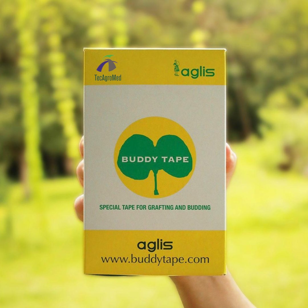 ¿Listo para llevar tus injertos al siguiente nivel? Adquiere Buddy Tape con nosotros en TecAgroMed y experimenta la diferencia en tus viveros 🌿💪

Contáctanos hoy mismo y descubre cómo potenciar el crecimiento de tus plantas con Buddy Tape. 🌿🌱