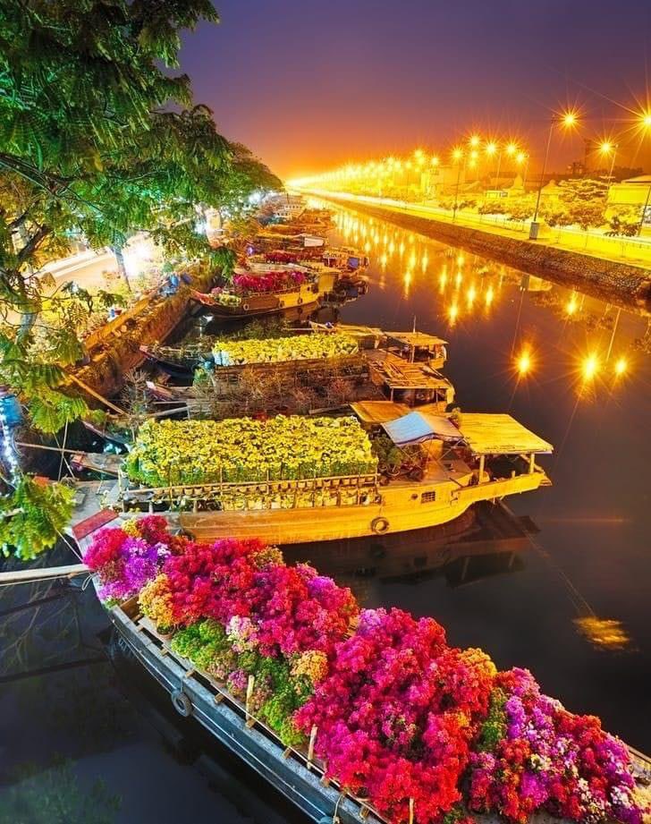 Saigon Flower Market, Tet, Vietnam 🇻🇳