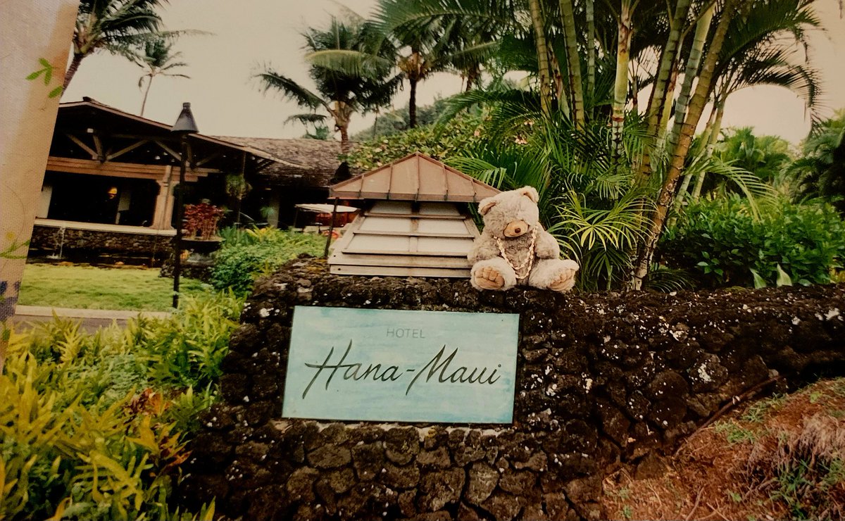 @theOfficeRabbit I love your traveling rabbit 😊💖🐰 My husband and I used to take a teddy bear named Bob on all our trips. It's so funny looking at old pics. This is Bob in Maui 🐻🌴