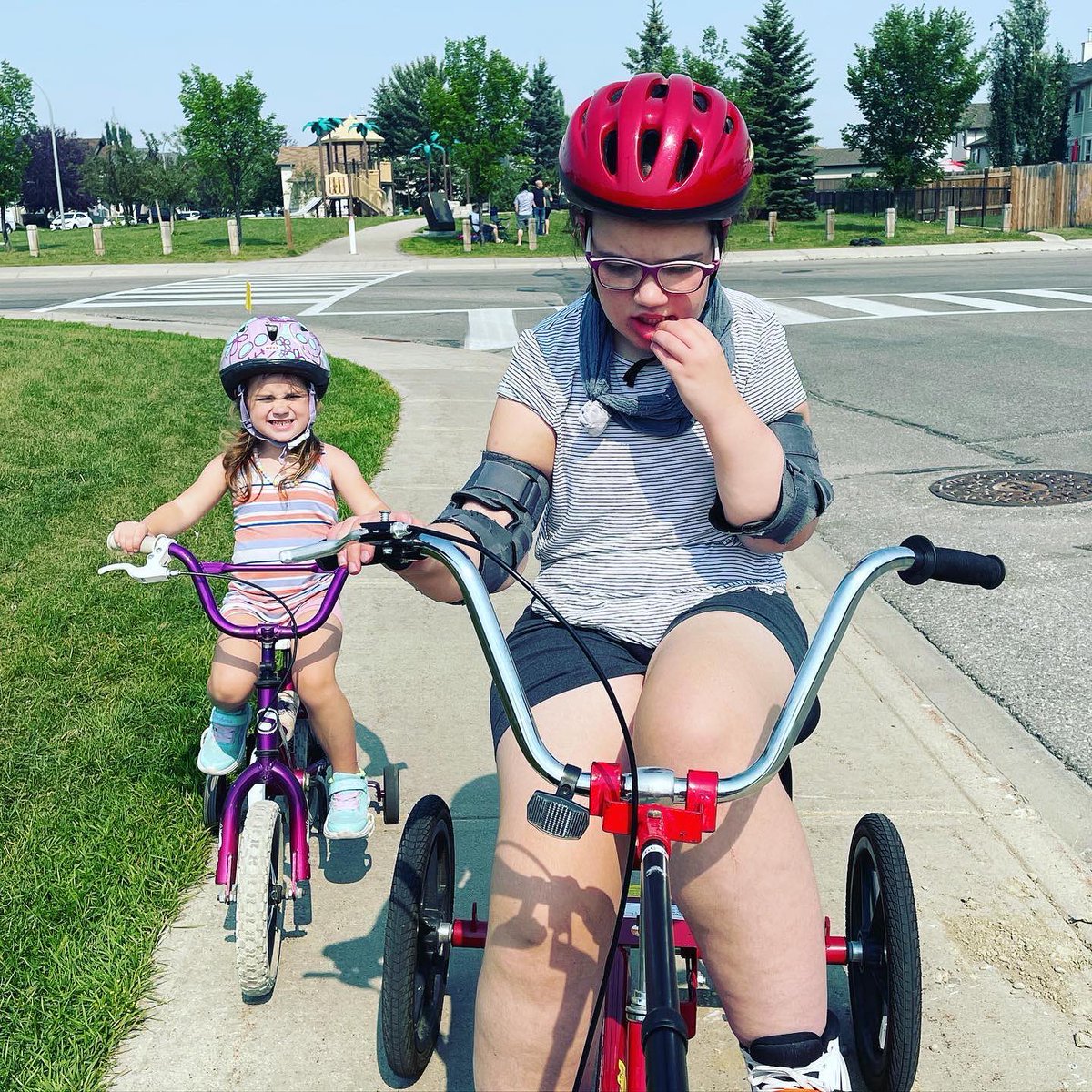 Walk & Roll Alberta tweet media