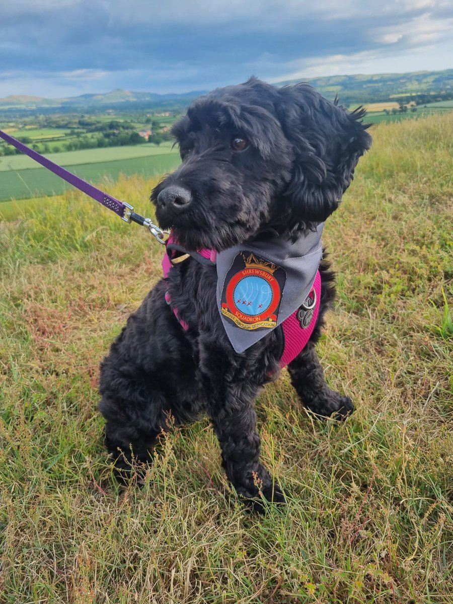 1119 Shrewsbury ATC tweet media