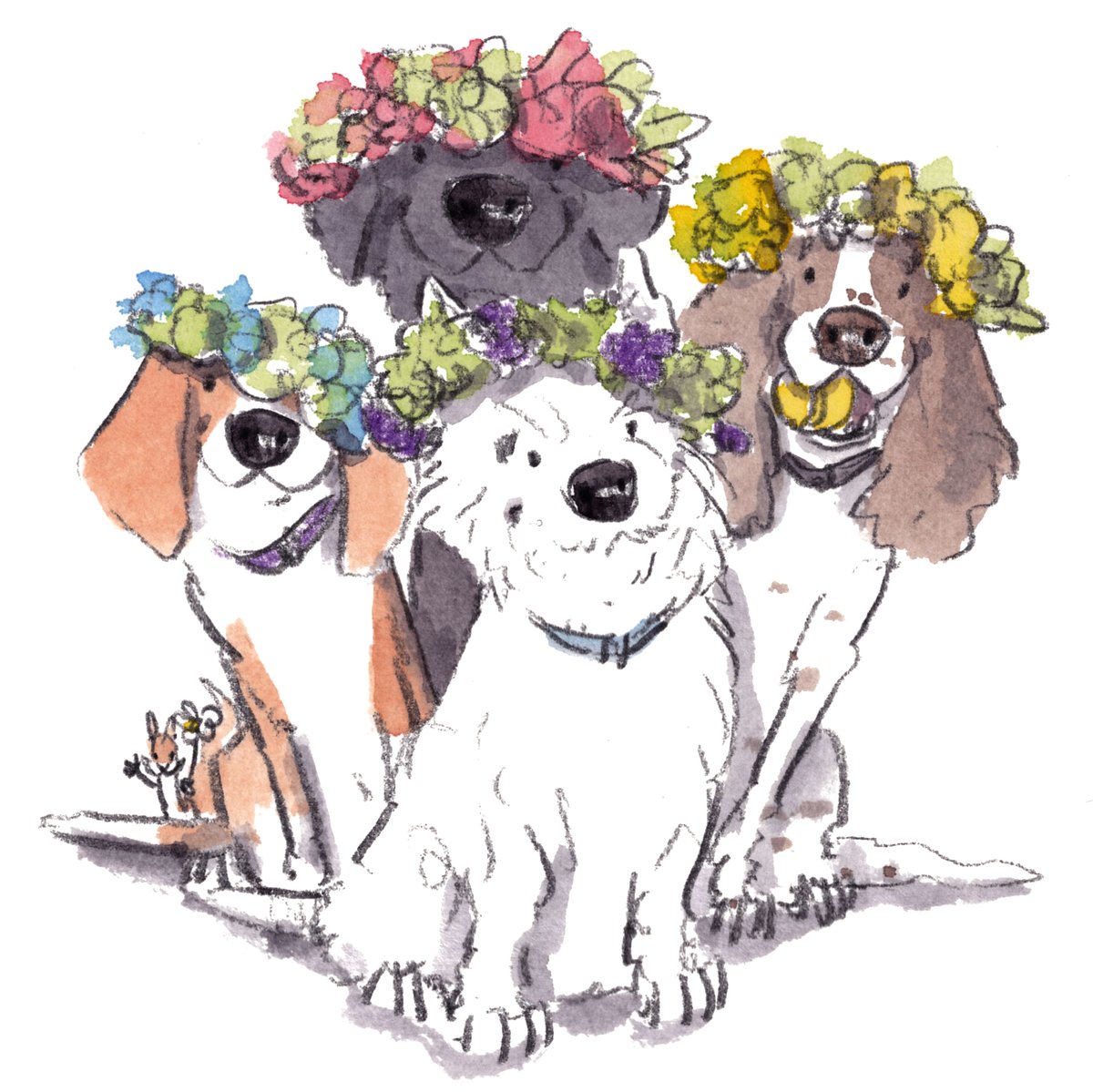 Good night, lovely people and lovely dogs.
I hope that you've had a fab start to your week and I'm wishing you the very best for a fun day tomorrow. 
Sleep well and sweet dreams. 
#hoorayfordogs #beagle #labrador #westie #springer #redsquirrel #flowers