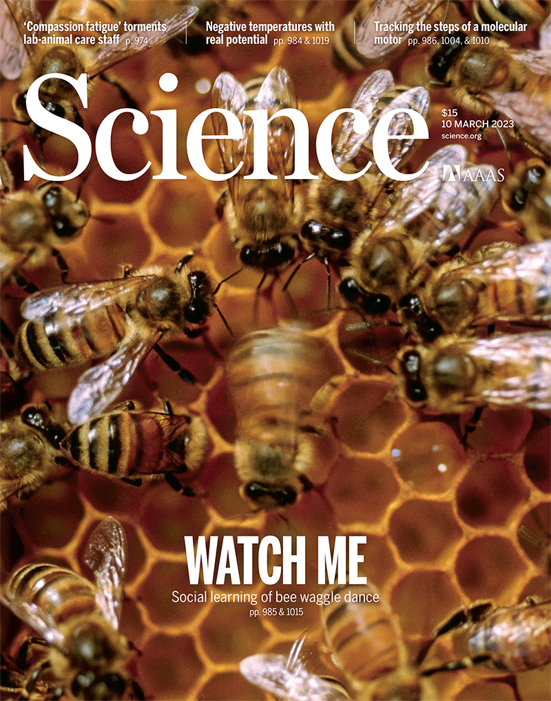 Young bees need to watch.

A recent Science study showed that the distinctive waggle dance honey bees use to send nestmates to the location of a food source is in part learned by young bees as they observe more experienced bees. scim.ag/33J #NationalPollinatorsMonth
