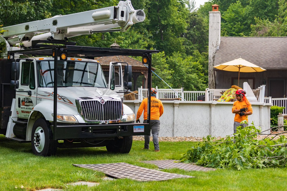 Unwind in your pool under safely pruned tree limbs—let us secure your summer sanctuary.🏊‍♂️🌲

-
-
-
-
-
-
-
#treework #arborist #stihl #treelife #arblife  #treecare #treeclimbing #treesurgeon #treeclimber #chainsaw #logger #tree #treeremoval #treeservice #arboriculture #trees