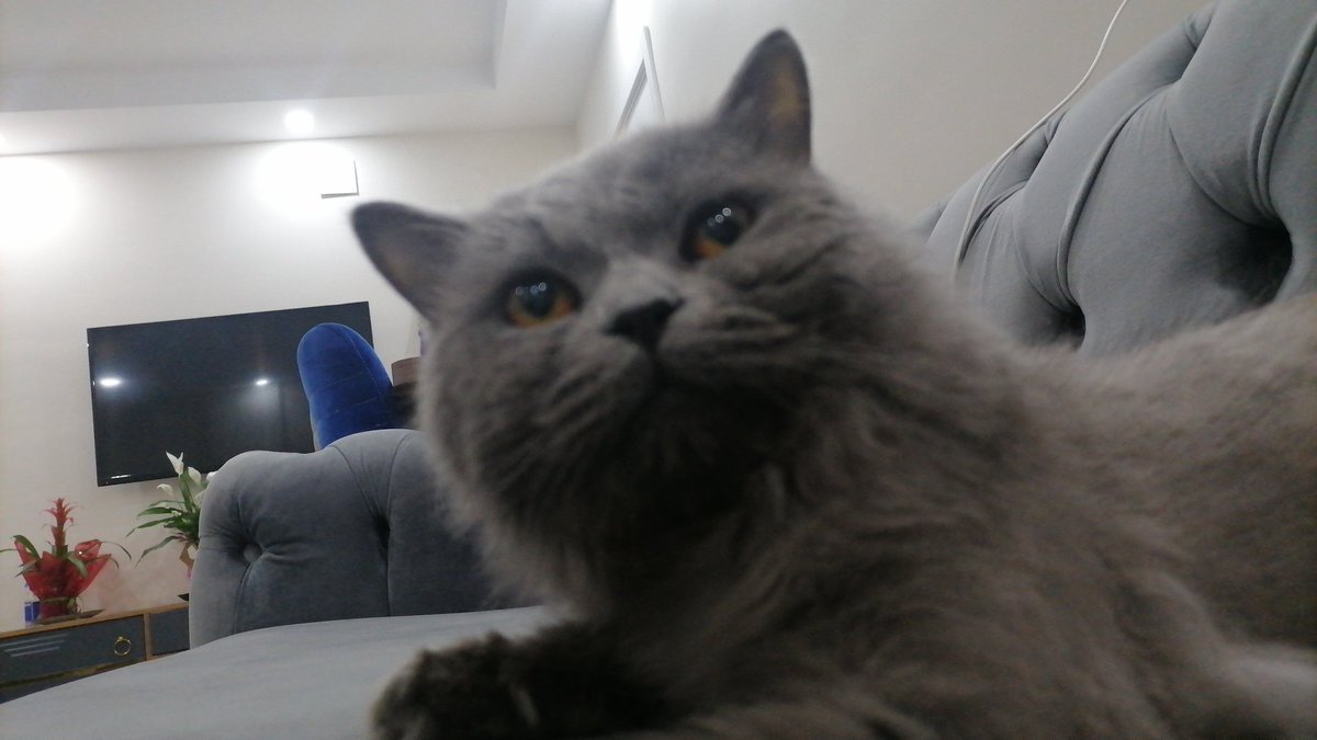 geceyi atmıyodum bayadır