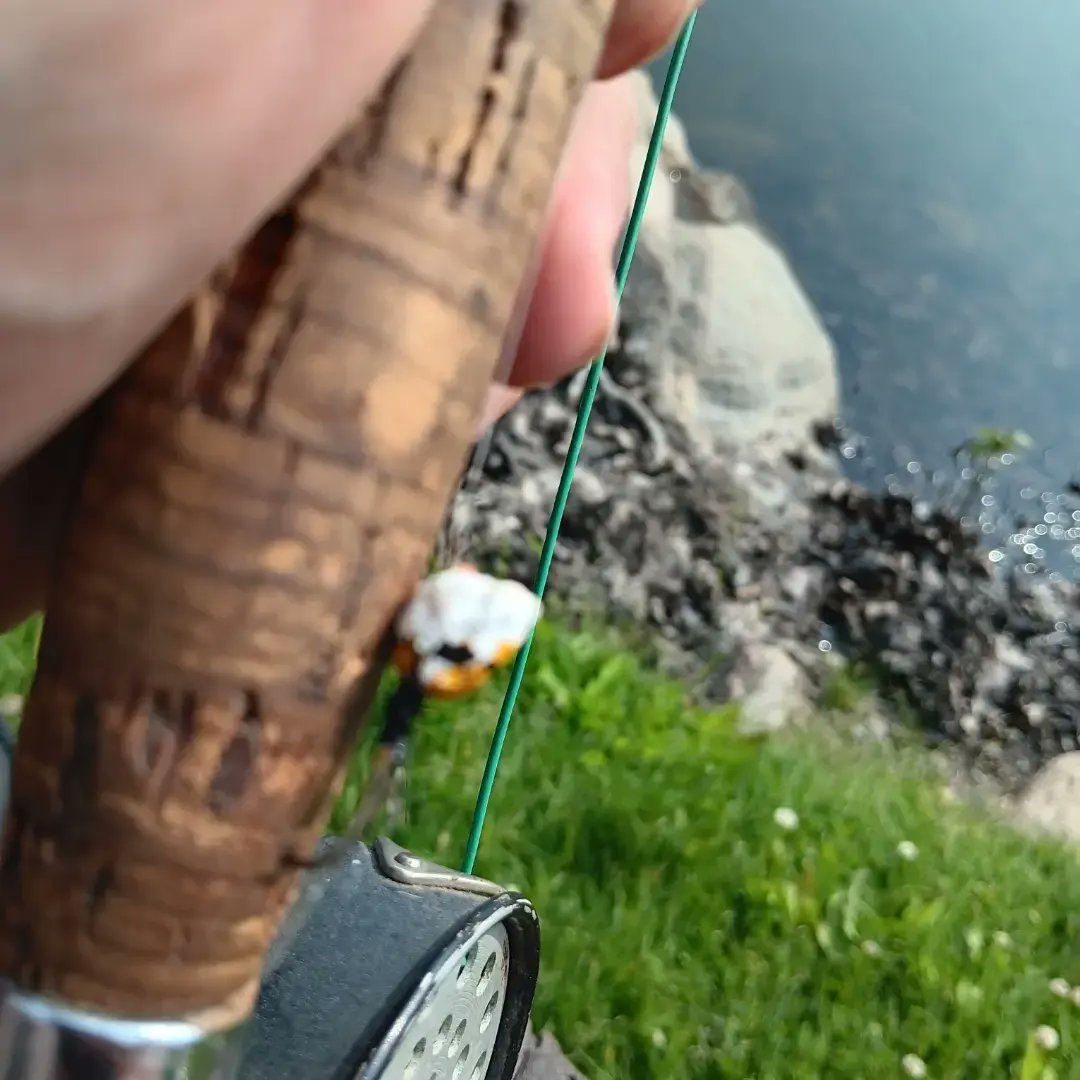 BKBoutdoors bryan bartz tweet media