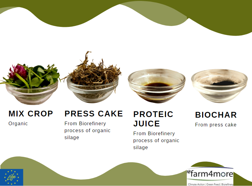 farm4more's tweet photo. 🌿 Excited about the potential of green biorefinery! ♻️ It's a game-changer in sustainable technology, converting grass into valuable products. ♻️♨️ From renewable energy to proteins, and biochar, it's paving the way towards a greener future🌍 #GreenBiorefinery  @LIFEprogramme https://t.co/3fHKCBMiMn