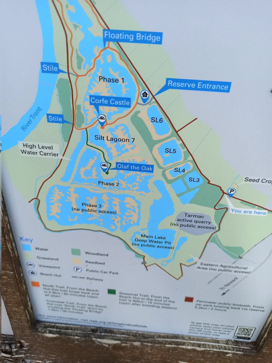 Tim Quantrill on Twitter "Great birds at two Nottinghamshire