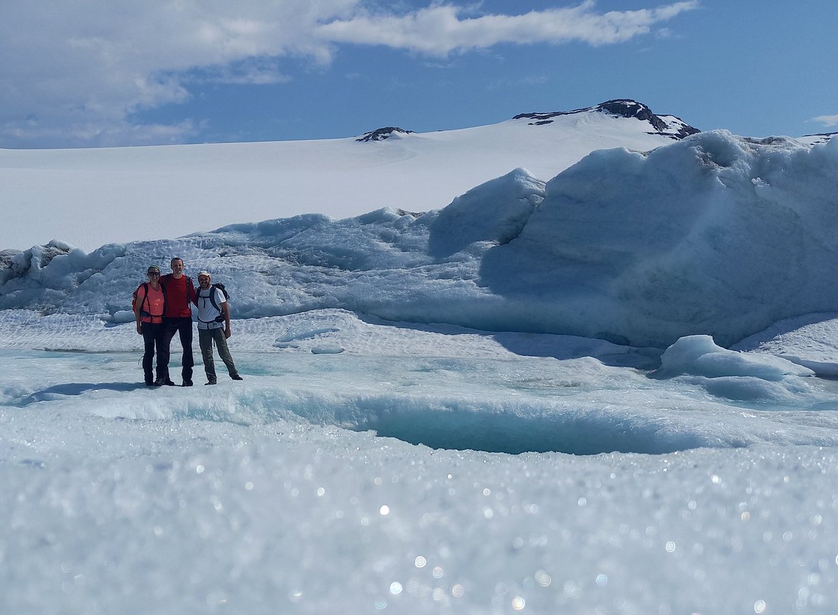 jelenalange's tweet image. Next round of #dendrometer and #microclimate sensor installation in high elevation #pine stands near @AlpineFinse 🇳🇴 @INTERACT66. Nice side effects: we found spruce at &amp;gt;200 m above the current conifer treeline + had a rewarding hike to Hardangerjøkulen! @JTumajer @francesco9995