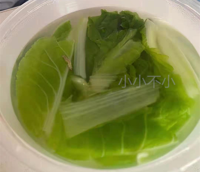 老闆可能看我最近瘦了想給小小加點餐 XD https://t.co/r8pV0GmOKn