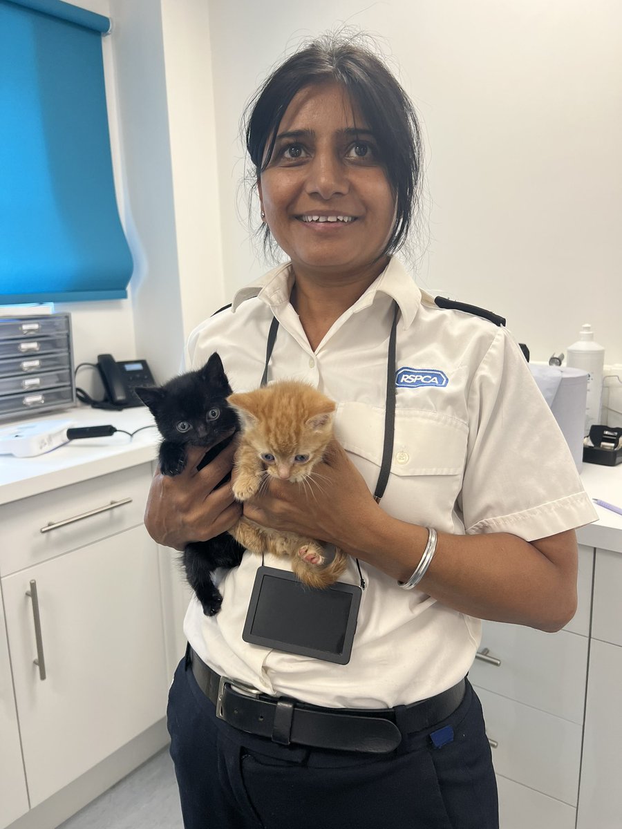 One of the most difficult Animal Welfare messages to get across is the benefits of neutering . I joined up with @CatsProtection to collect some cats & deliver some leaflets about Cat Care. PLS RT. Kittens cuddles a bonus! ☺️🐱@Rspca_official  #PartnershipWorking #NeuterYourCats