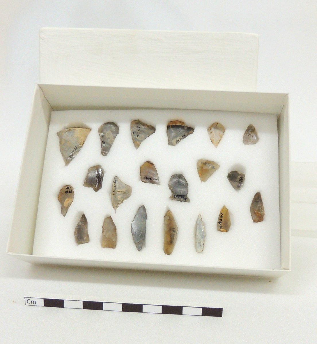 Neolithic worked flints from Chase Hill, Ross on Wye