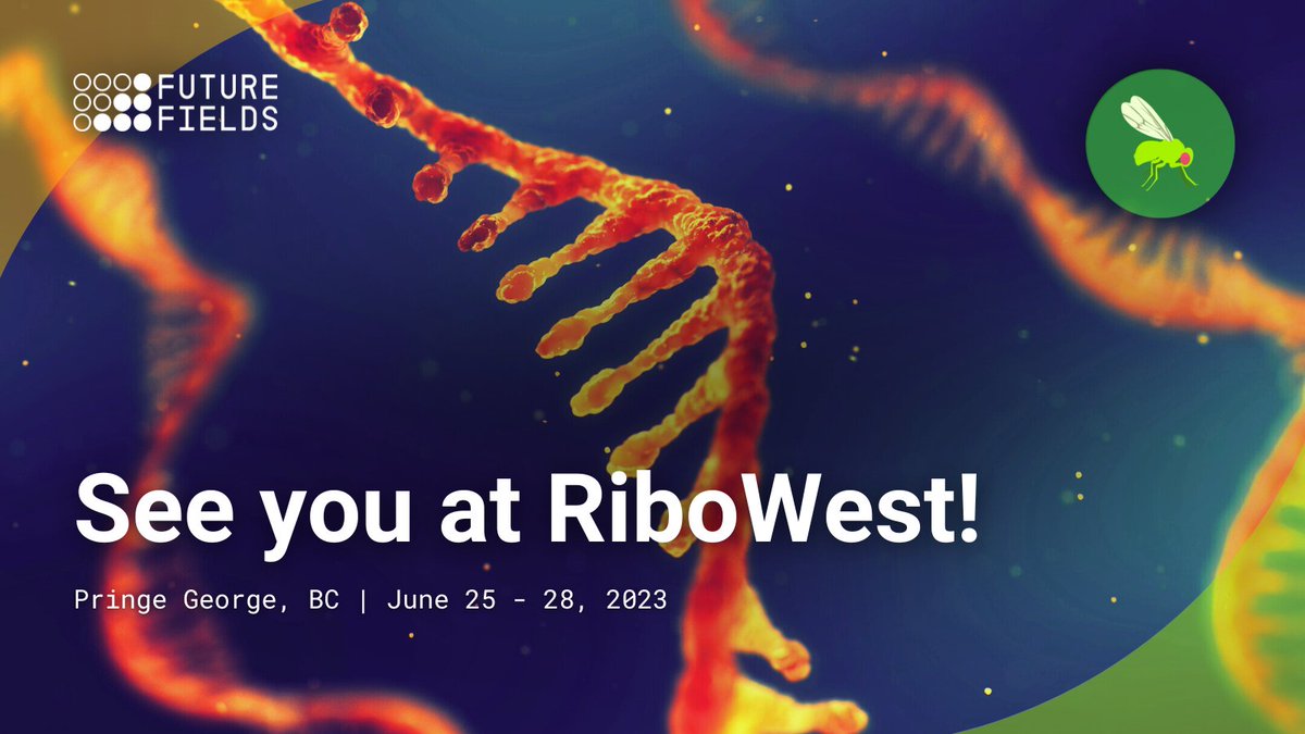 Future Fields tweet media