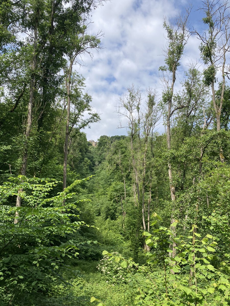 Charles Lane tweet media