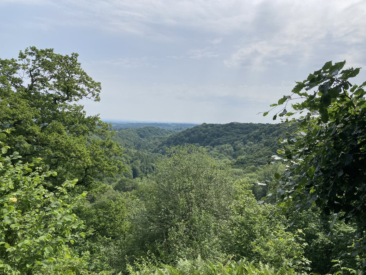 Charles Lane tweet media