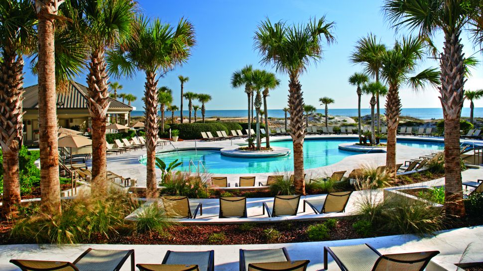 SeminoleSitters's tweet photo. Babysitting in Amelia Island 🌴 - https://t.co/T0AB9uUpyy https://t.co/EGvr0C0pOz
