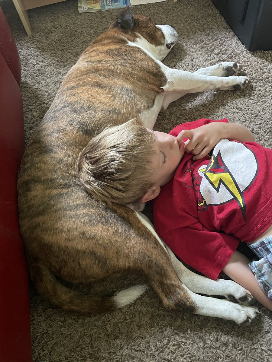 Sometimes munchkin is okay. We are watching dinosaurs together today.