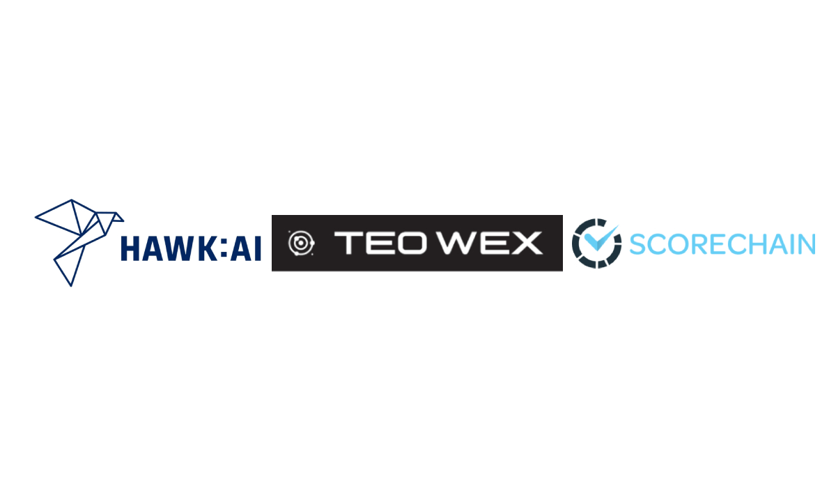TeoWex tweet media