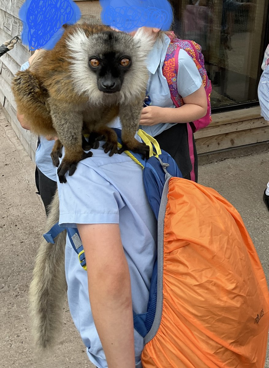 St Chad’s CofE Primary School, Lichfield tweet media